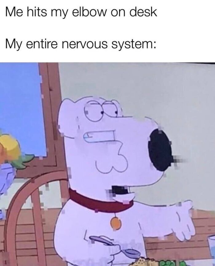 Funny-Smart-Memes-Memesonscience