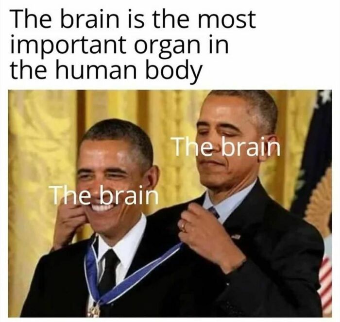 Funny-Smart-Memes-Memesonscience