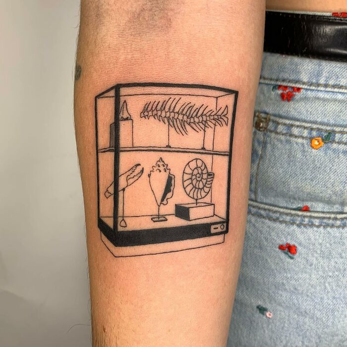Tattoo resembling an illustration of a display case with skeletal and shell designs on a person's arm.