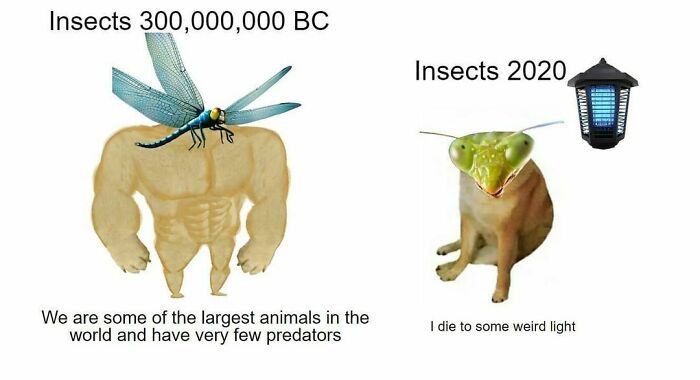 Funny-Smart-Memes-Memesonscience