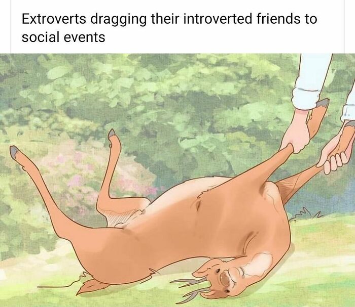 Funny-Daily-Introvert-Memes