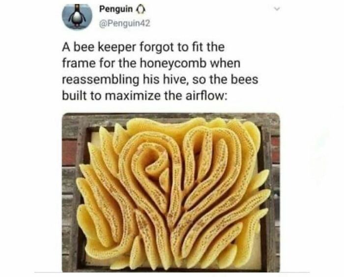 Funny-Smart-Memes-Memesonscience