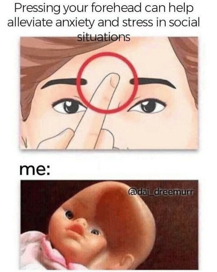 Funny-Daily-Introvert-Memes