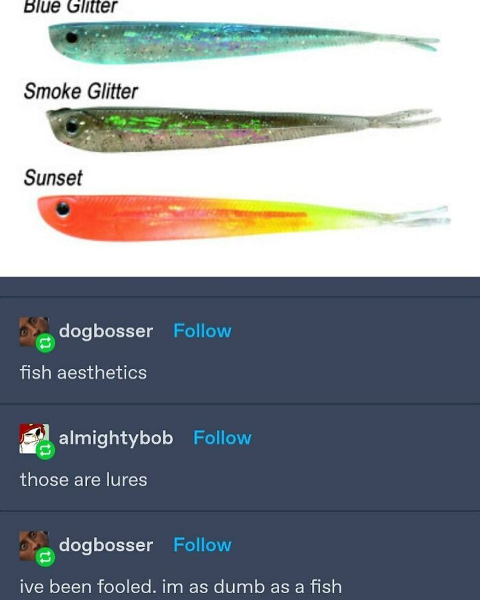 Funny-Weird-Tumblr-Screenshots-Antisocialduckling