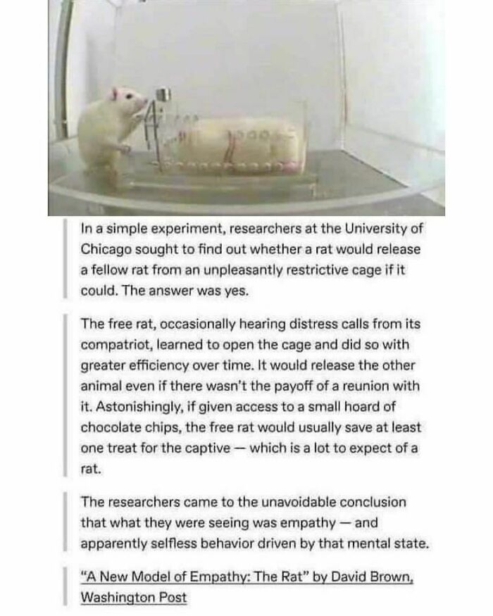 Funny-Smart-Memes-Memesonscience