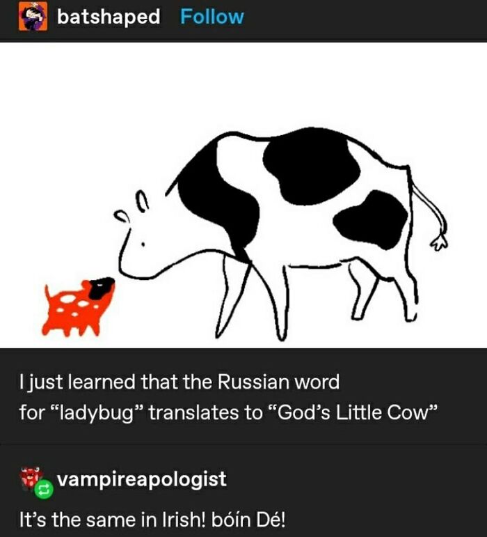 Funny-Weird-Tumblr-Screenshots-Antisocialduckling