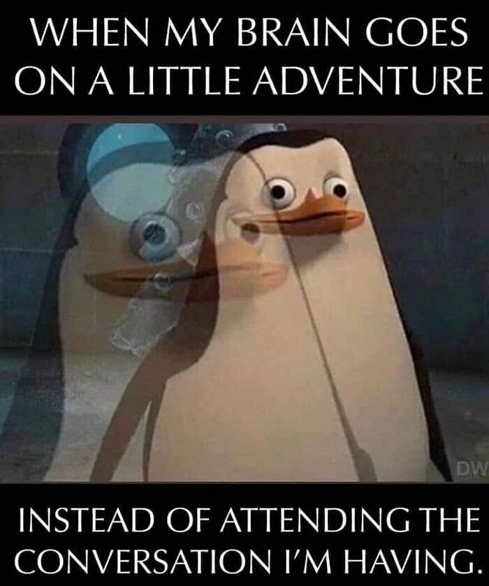 Funny-Daily-Introvert-Memes