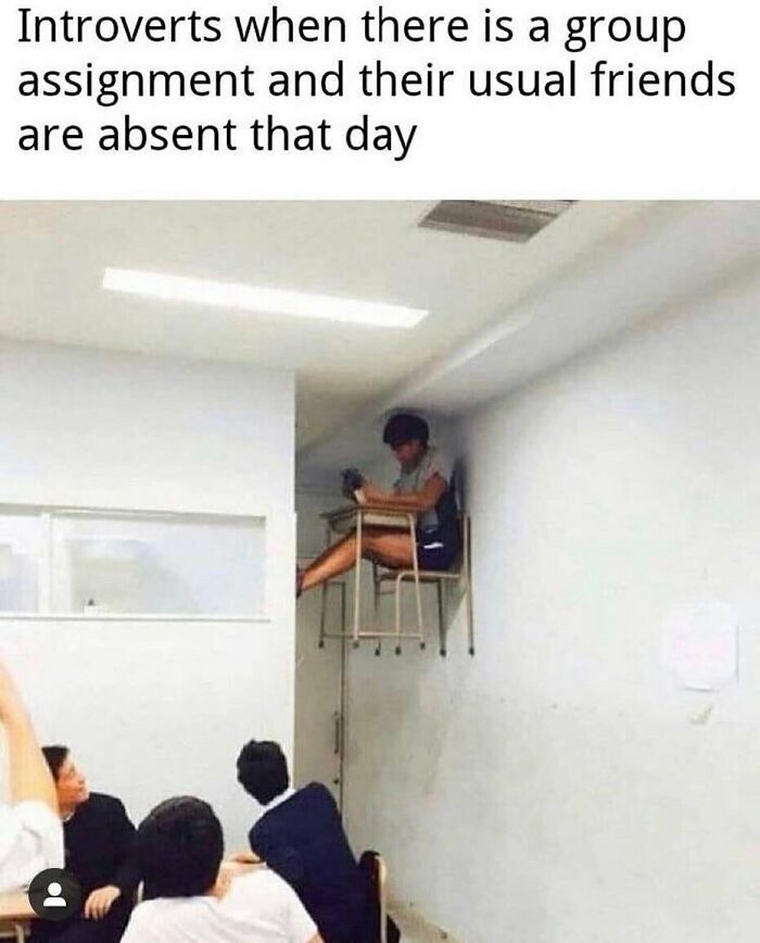 Funny-Daily-Introvert-Memes