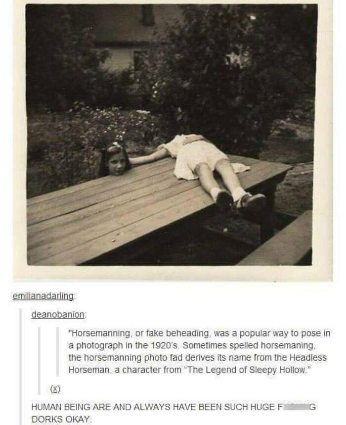 Funny-Weird-Tumblr-Screenshots-Antisocialduckling