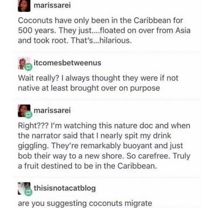 Funny-Weird-Tumblr-Screenshots-Antisocialduckling