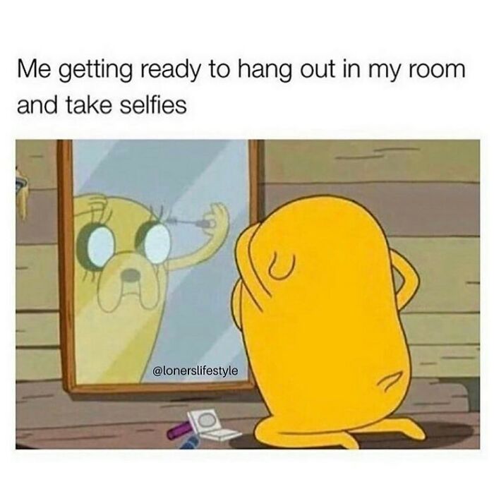 Funny-Daily-Introvert-Memes