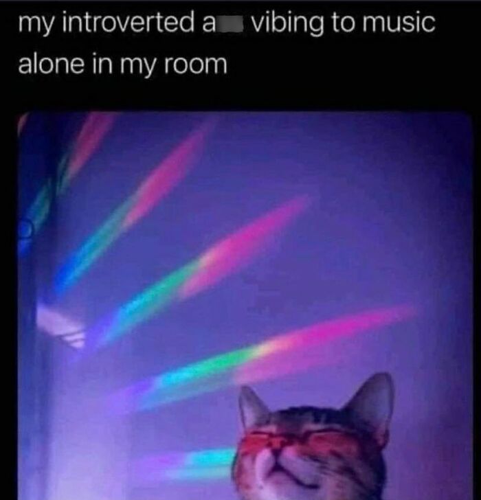 Funny-Daily-Introvert-Memes