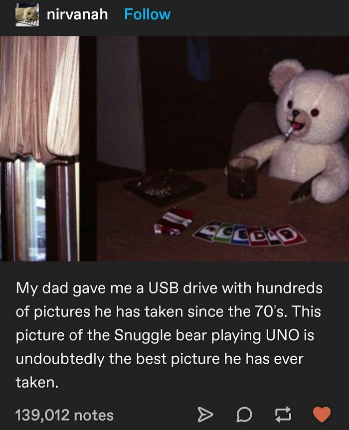 Funny-Weird-Tumblr-Screenshots-Antisocialduckling