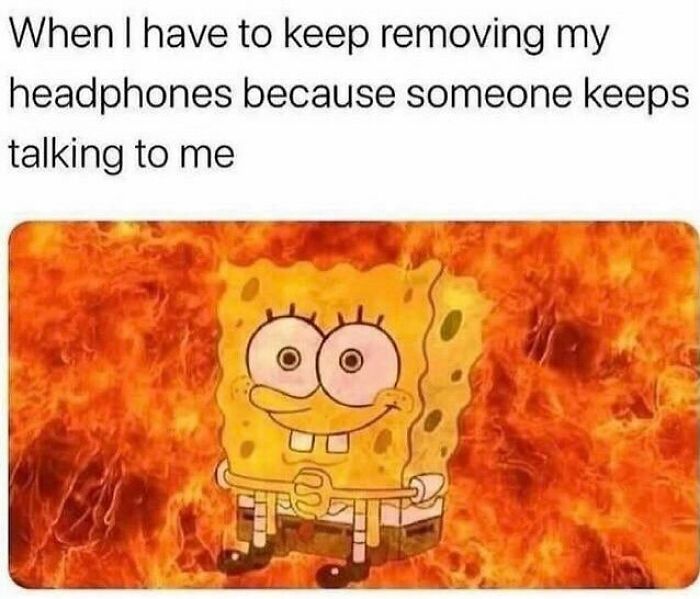 Funny-Daily-Introvert-Memes