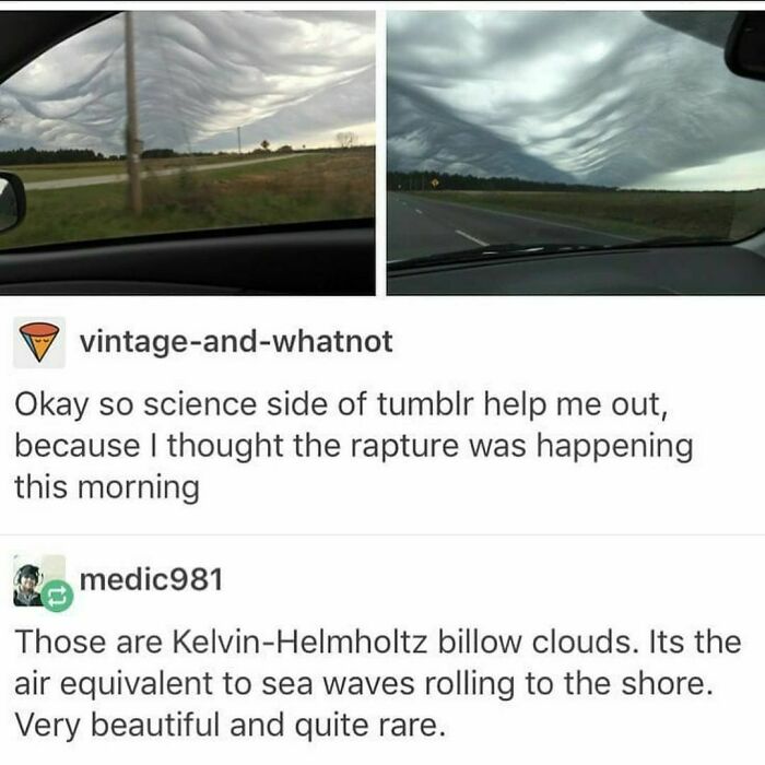 Funny-Weird-Tumblr-Screenshots-Antisocialduckling