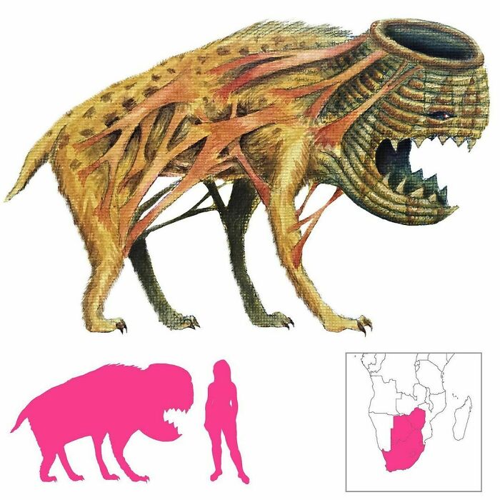 The Isitwalangcengce Of Zulu Folklore Is A Hyena-Like Creature With A Basket For A Head. It Carries Off Naughty Children To Eat, But Luckily (For Naughty Children) It Is Easy To Fool