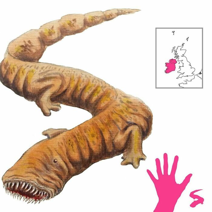 The Alp-Luachra Are Irish Newts That Crawl Into Your Body When You Sleep Near Water. Once Inside You, They Proceed To Eat The Food You Consume, Making You Get Thinner And Thinner Until You Die Of Starvation. Fortunately, They Can Be Forced To Leave By Eating Large Quantities Of Salted Meat. The Newts Will Then Climb Out To Jump Back Into The Water