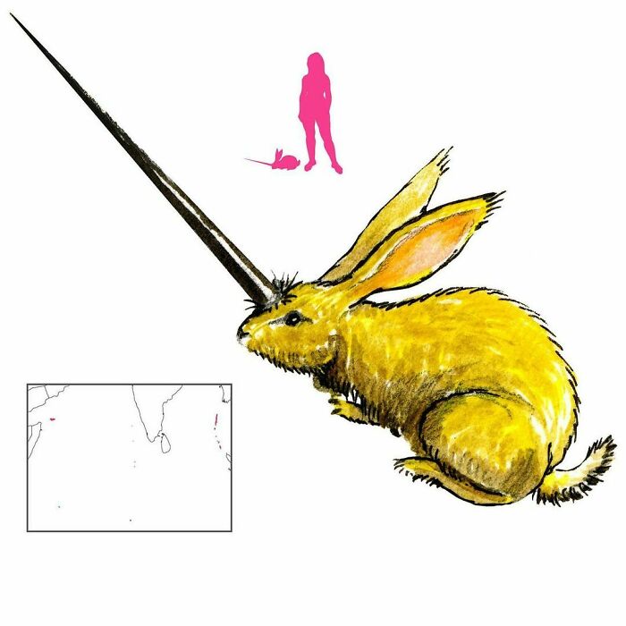 Perhaps The Oldest Horned Rabbit On Record, The Mi’raj Was Found On Dragon Island. It Was Very Fierce, But There Is No Evidence It Was Carnivorous. Confused With A Rhinoceros? Also, Al-Mi’raj Literally Means “The Mi’raj”. Keep Your Definite Articles Out Of Names!