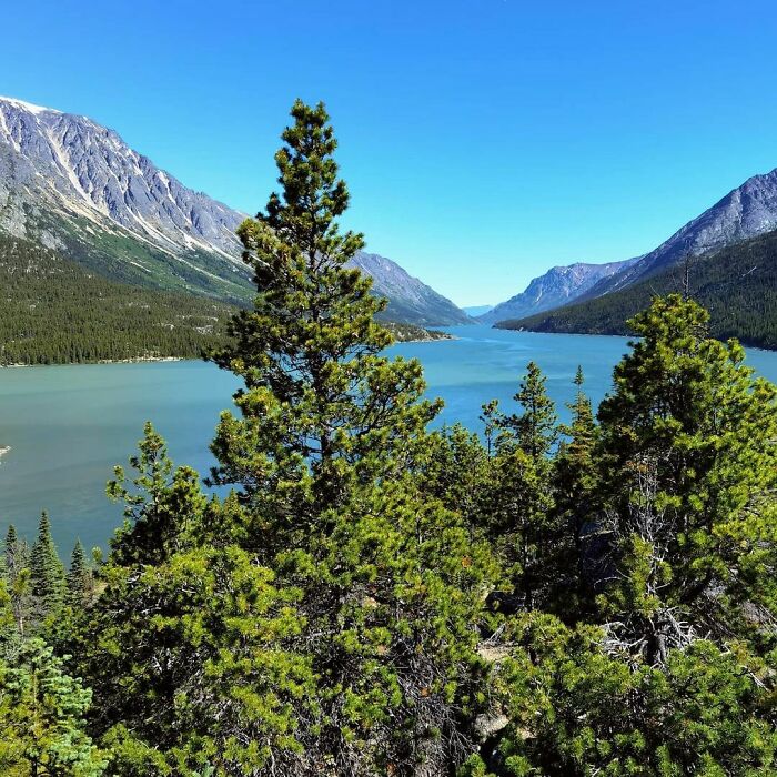Photo of Chilkoot Trail
