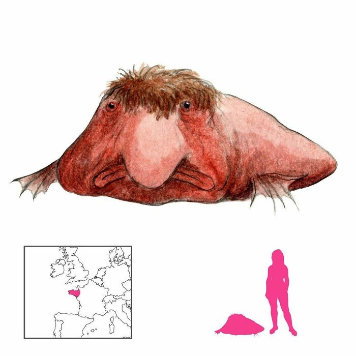 The Bosch Is A Maritime Demon Of Bad Luck. It Manifests On Ships In Brittany When A Theft Occurs On Board. To Scare It Off, Simulate A Fire, And The Terrified Bosch Will Dive Into The Safety Of The Sea