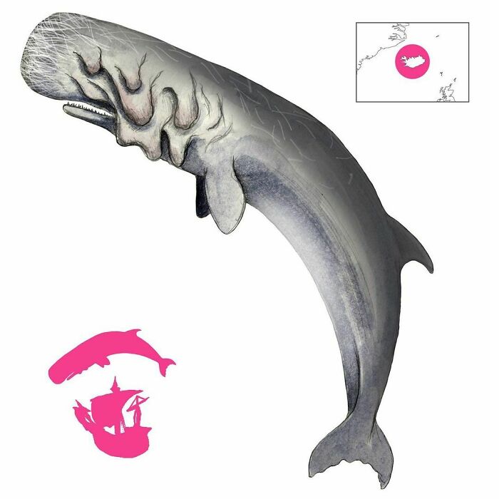 The Stökkull Or Leaper Is One Of Many Icelandic Evil Whales. It Has Flaps Of Skin Covering Its Eyes, And It Destroys Ships By Leaping High Into The Air And Piledriving Them To Pieces
