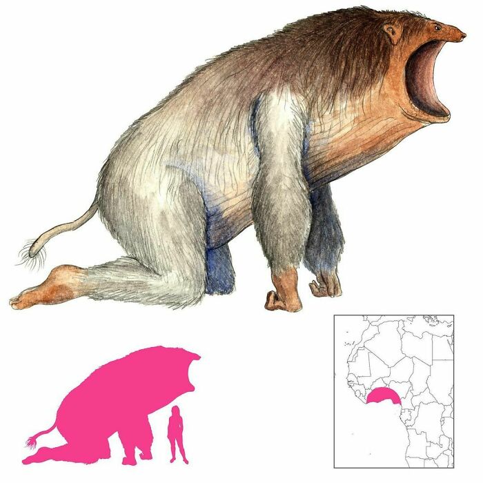 The Dodo Is A Swallowing Monster From Hausa Folklore. It Likes To Crash Weddings And Devour The Banquet, The Dishes, The Tables, The Guests, Everyone! But It Can Also Be Easily Outwitted By Clever Heroes