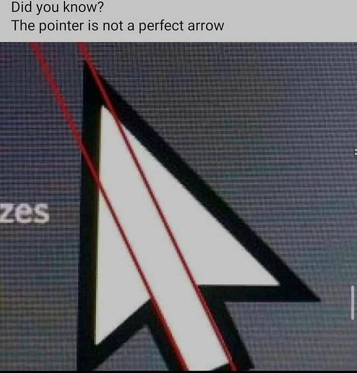 Would-Prefer-Not-To-Pics