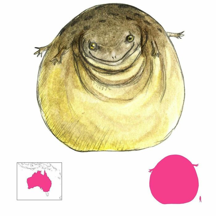 Tiddalik Was An Australian Frog Who Once Swallowed Up All The World’s Water, Swelling Up To An Enormous Size In The Process. He Only Released The Water After Laughing At An Eel’s Goofy Gyrations. He’s Had A Chip On His Shoulder Ever Since