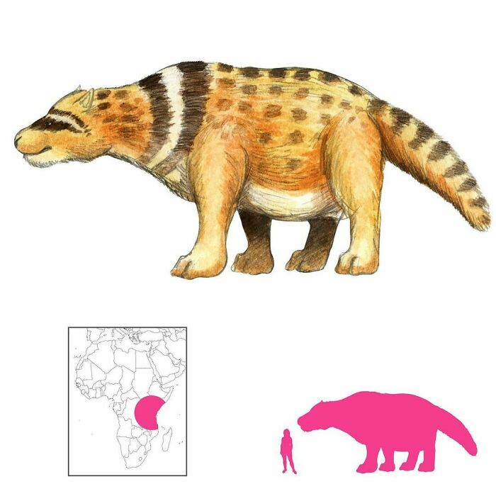 The Nunda, Eater Of People, Is A Swahili Monster That Once Belonged To Sultan Majnún. Originally A Housecat, It Grew Into A Huge Beast Larger Than An Elephant, With Small Ears, A Broad Build, Two Blotches Like A Civet, And A Thick Tail. It Decimated The People And The Landscape Until The Sultan’s Seventh Son Slew It
