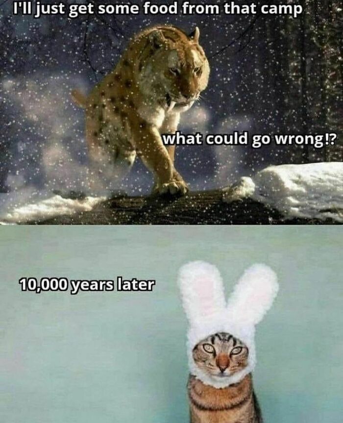 Would-Prefer-Not-To-Pics