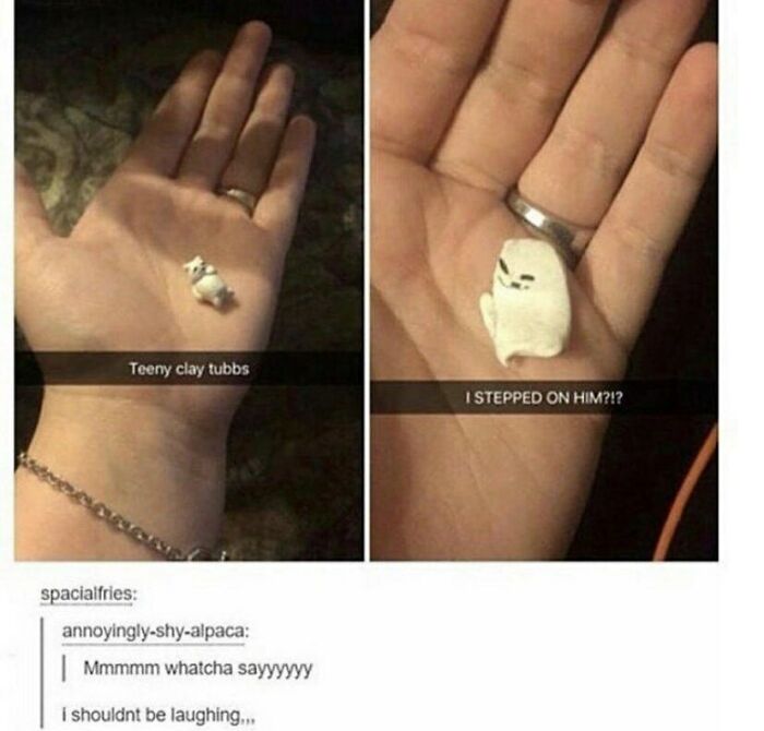 Funny-Weird-Tumblr-Screenshots-Antisocialduckling