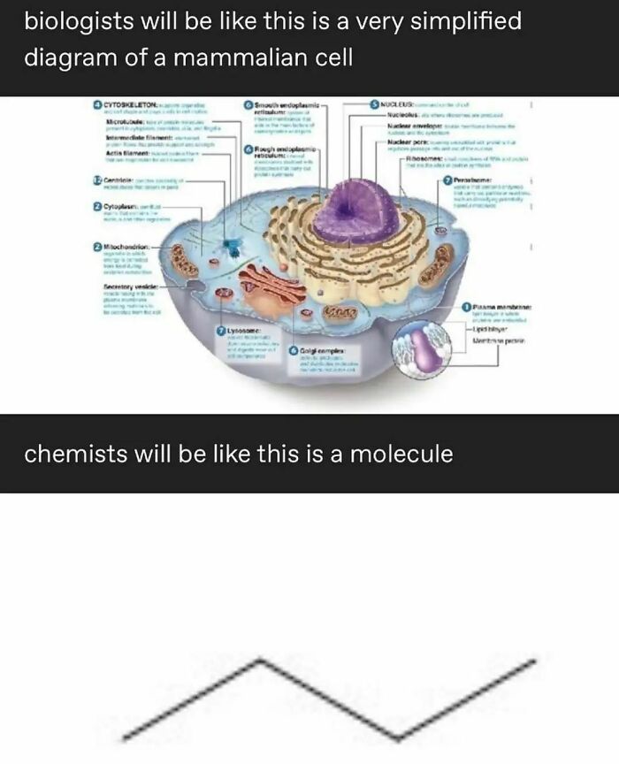 Funny-Smart-Memes-Memesonscience