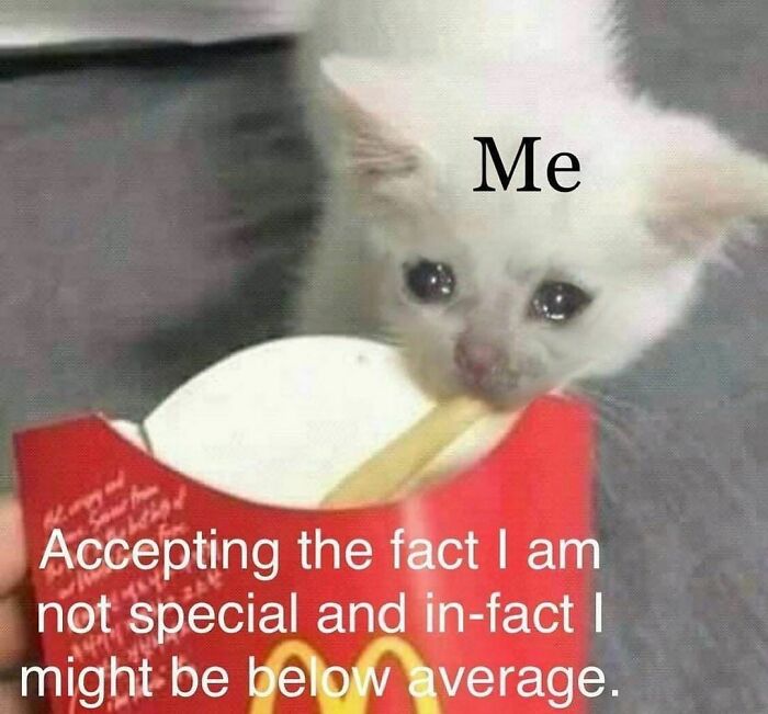 Would-Prefer-Not-To-Pics