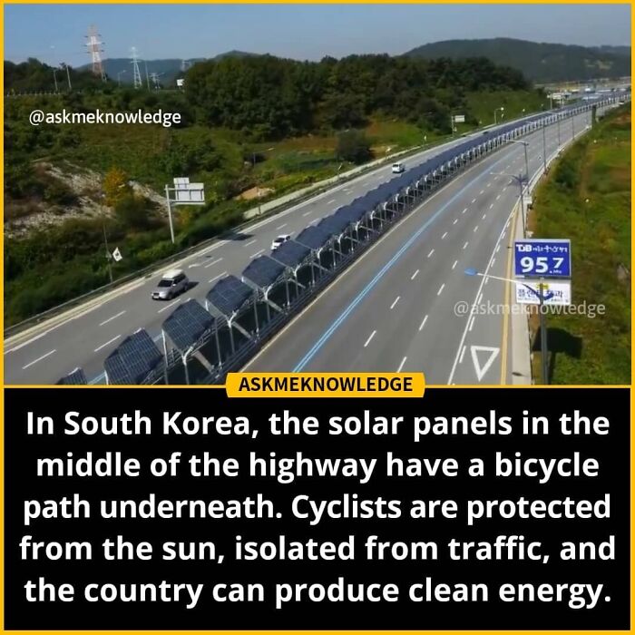 Solar panels on a South Korean highway sheltering a bike path, showcasing an interesting clean energy solution.