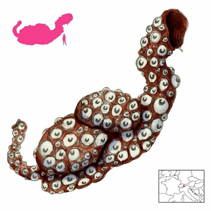 The Butatsch Cun Ilgs Is A Horrifying Swiss Lake Monster That Looks Like A Giant Cow Stomach Covered With Eyes That Shoot Fire. When It Crawls Out Of Its Watery Lair, It Causes Widespread Destruction And Calamity