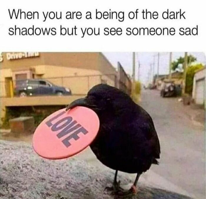 Would-Prefer-Not-To-Pics