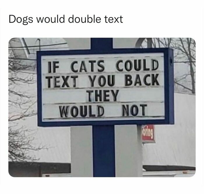 Would-Prefer-Not-To-Pics