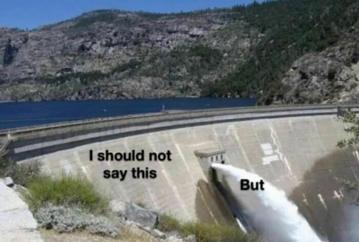 Would-Prefer-Not-To-Pics