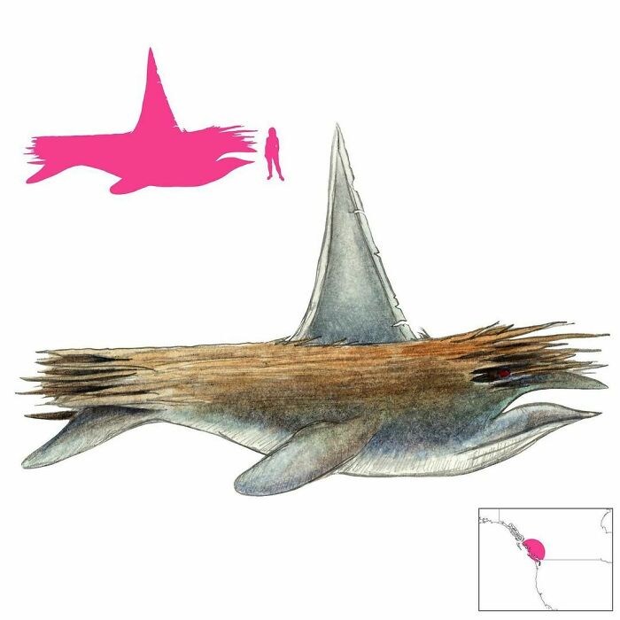 The Tsemaus (“Snag”) Personifies The Danger Of River Snags In The Folklore Of The Haida And Tsimshian People. A Monstrous Being Both Animal And Driftwood, It Uses Its Body And Sharp Fin To Cut Boats In Half