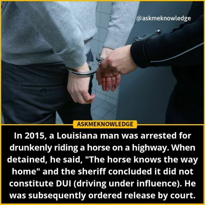 Police officer handcuffing a man; an interesting fact about a 2015 horse DUI case shared by an Instagram page.