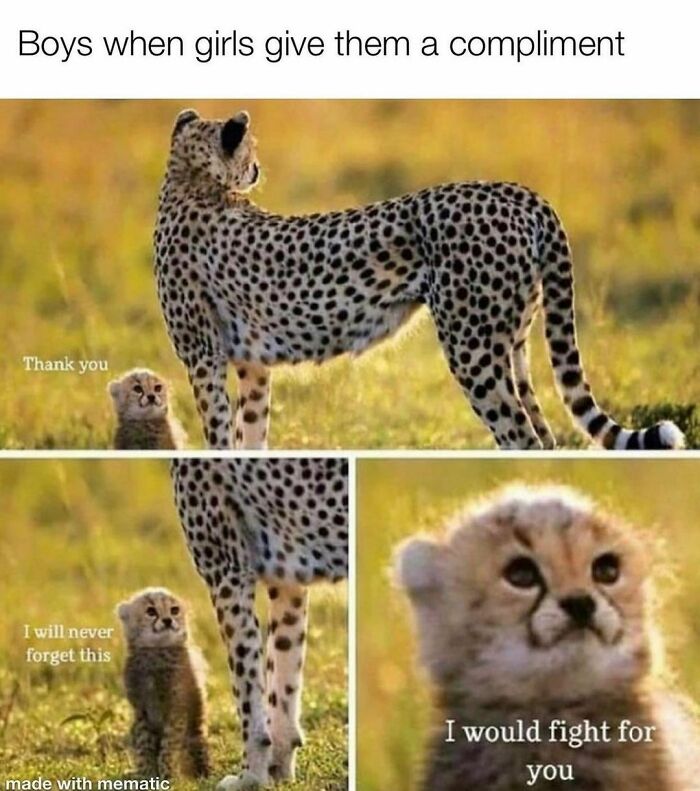 Would-Prefer-Not-To-Pics