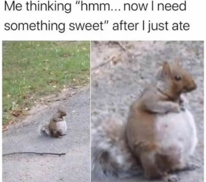 Would-Prefer-Not-To-Pics