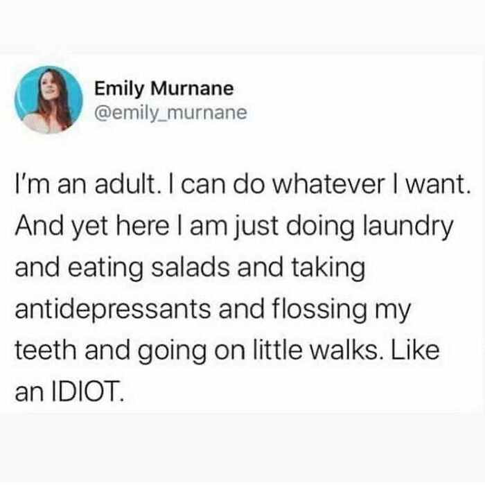 Adulting Memes