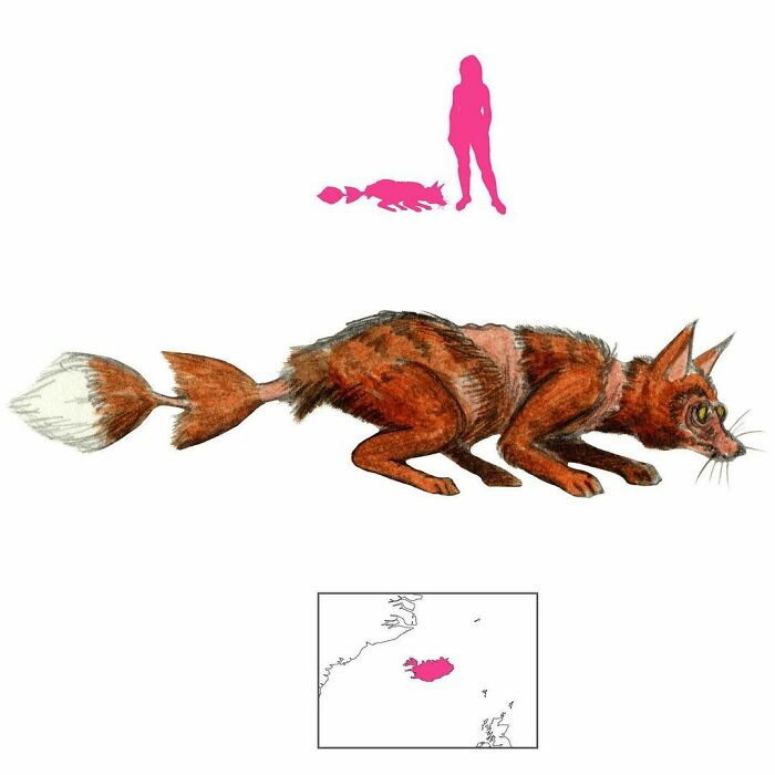 The Skoffín Is One Of Several Icelandic Cat/Fox Hybrids. This Vile Creature Kills Anyone It Sees, But It Can Easily Be Killed With A Mirror To Reflect Its Gaze Back On It