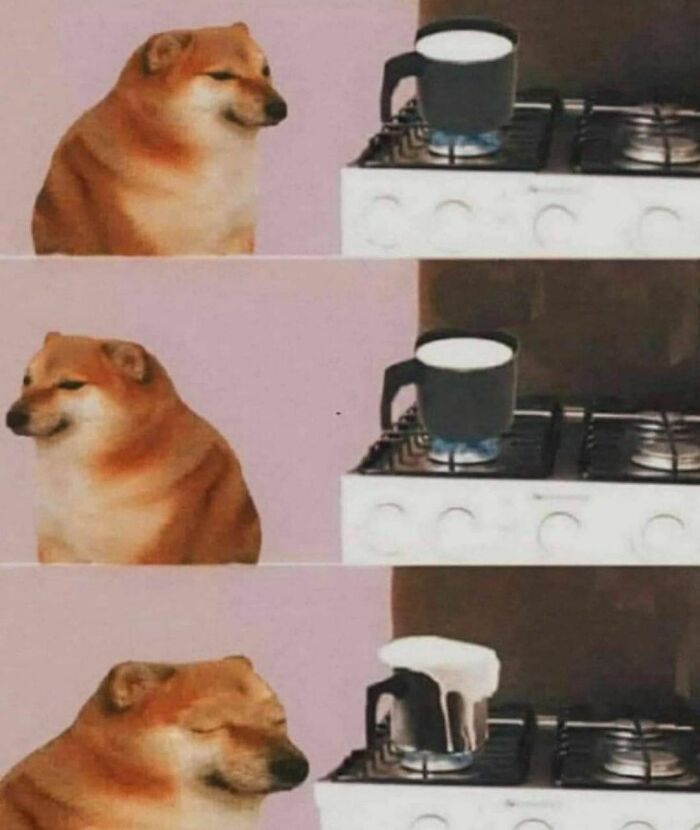 Would-Prefer-Not-To-Pics