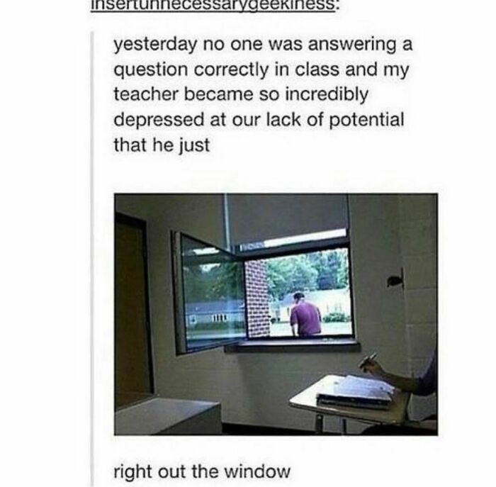 Funny-Weird-Tumblr-Screenshots-Antisocialduckling