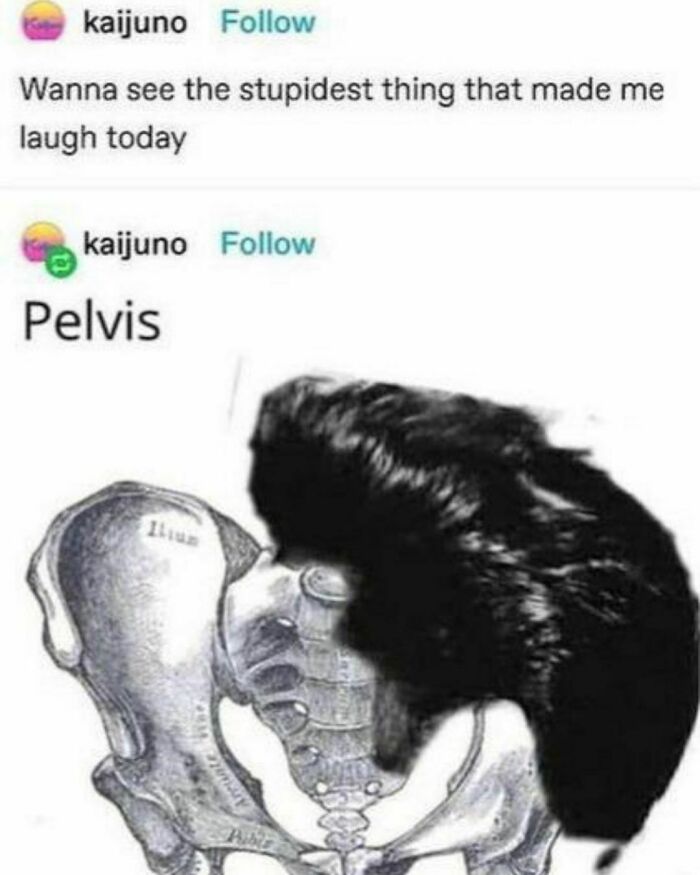 Funny-Weird-Tumblr-Screenshots-Antisocialduckling