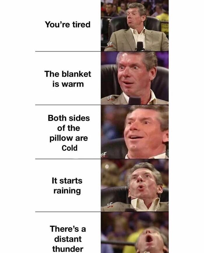 Would-Prefer-Not-To-Pics