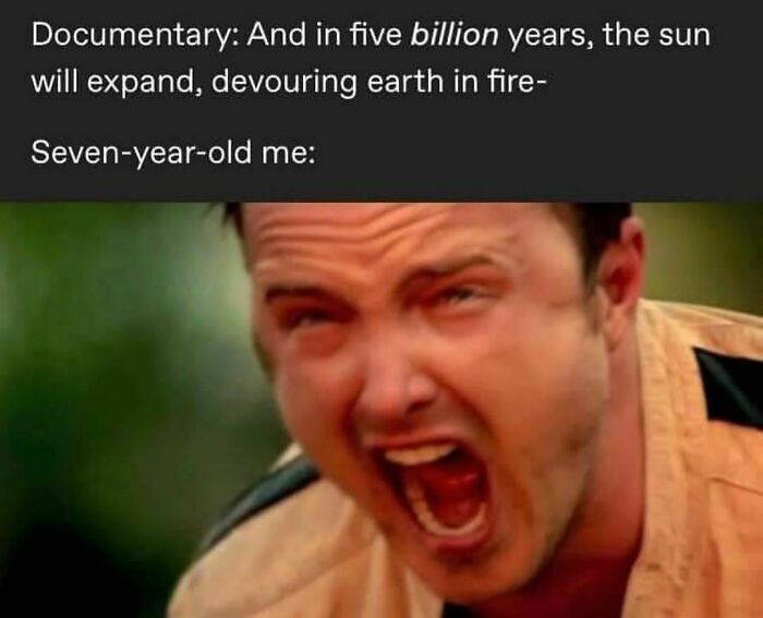 Would-Prefer-Not-To-Pics