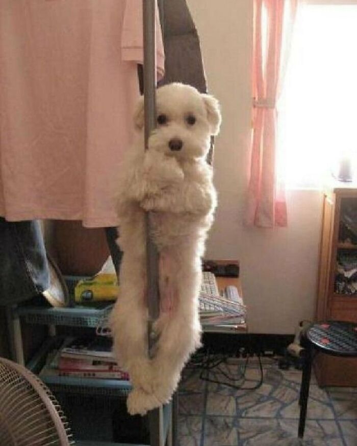 Funny-The-Snuggle-Is-Real-Pics